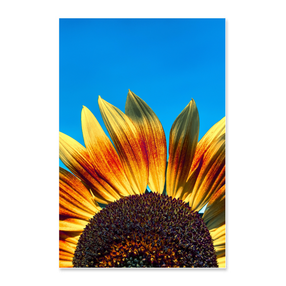 Poster 30x45 su carta professionale